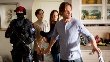 Colony 1x1