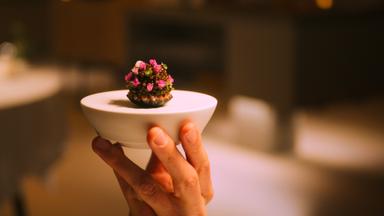 Al filo: Persiguiendo Estrellas Michelin 1x4