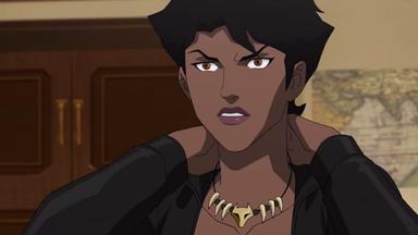 Vixen Digital Series 1x2