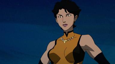 Vixen Digital Series 1x6