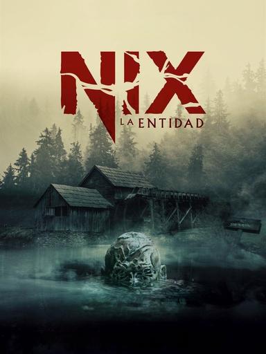 Nix - La Entidad