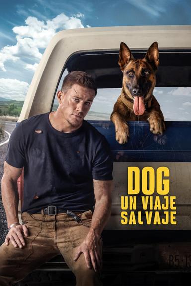 Dog: Un viaje salvaje