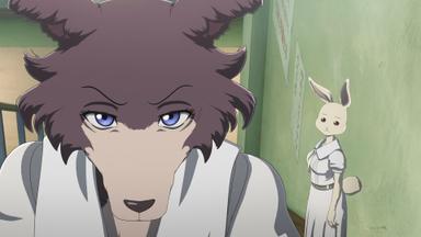 BEASTARS 1x12