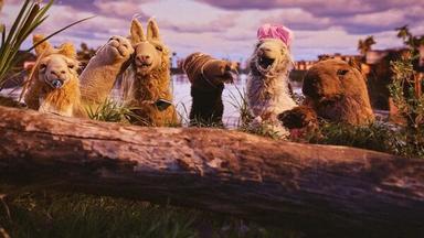 La Llama que Llama: La Serie 1x4